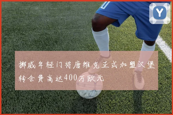 挪威年轻门将唐维克正式加盟汉堡转会费高达400万欧元